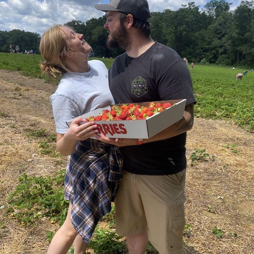 strawberry picking