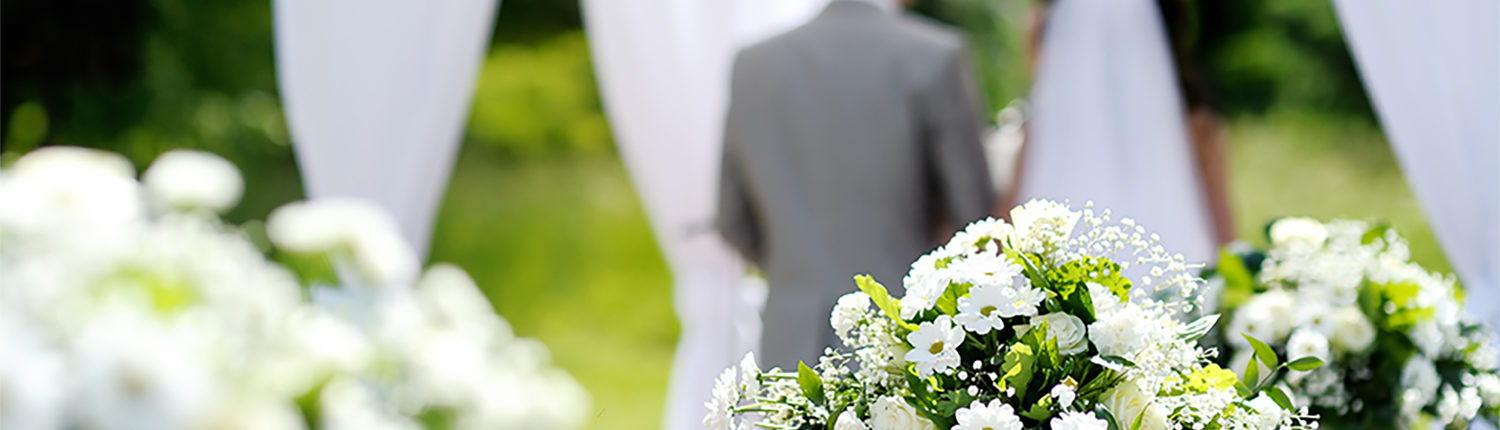 The Wedding Website of Ronald Herron and Roberta Aiello