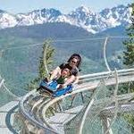 Forest Flyer Alpine Coaster