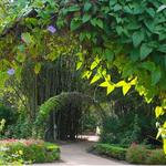 SEE: Both our Botanical Gardens!