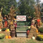 Deep Well Farm