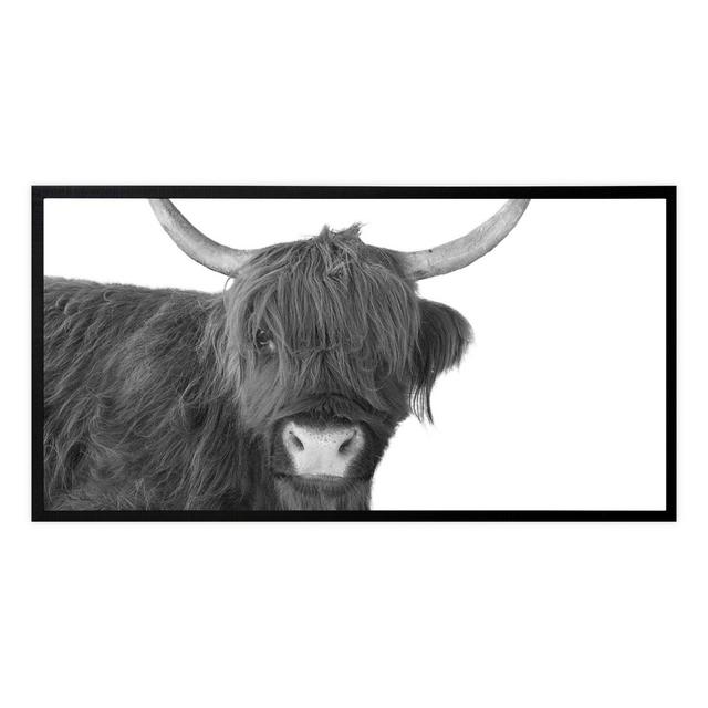 Scottish Highland Cow 25.57-Inch x 49.57-Inch Framed Print Wall Art in Black/White