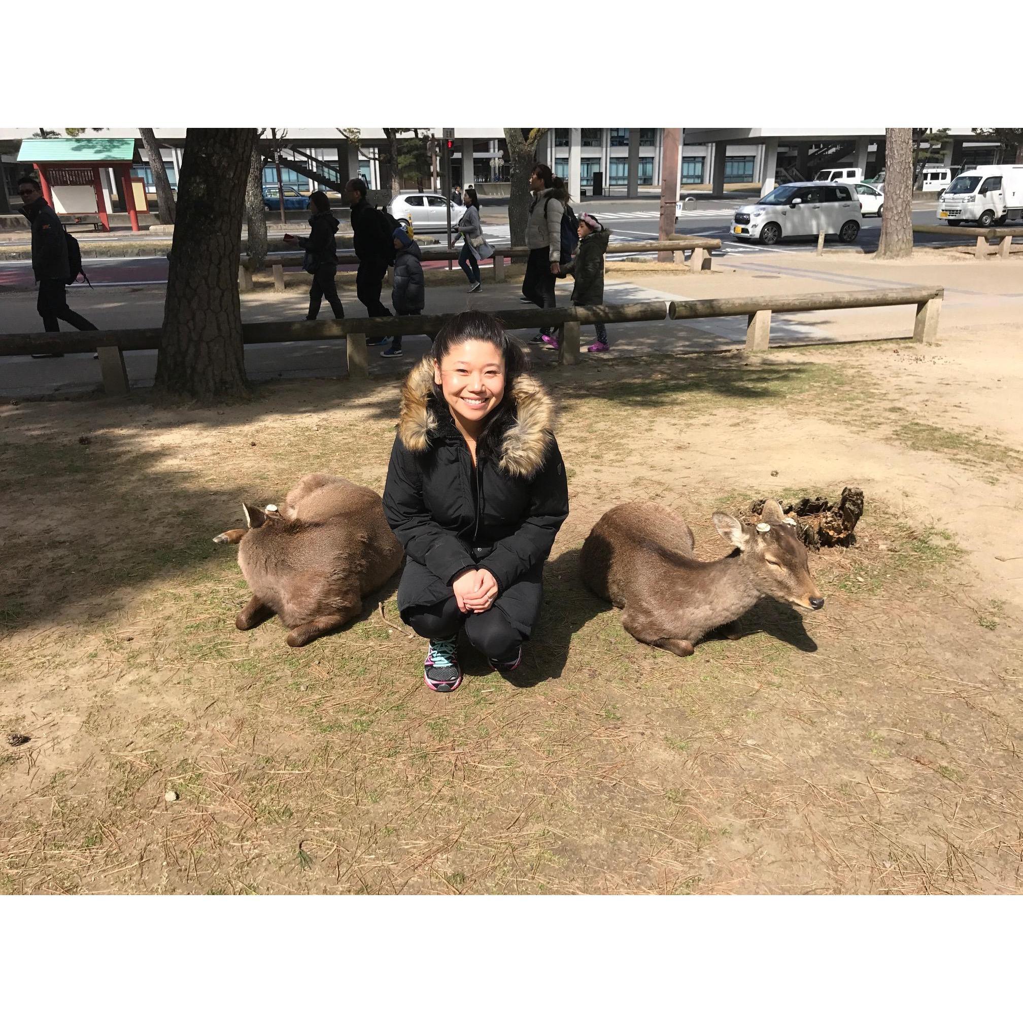 Bambi got OLD. Deer Park, Nara, Japan.