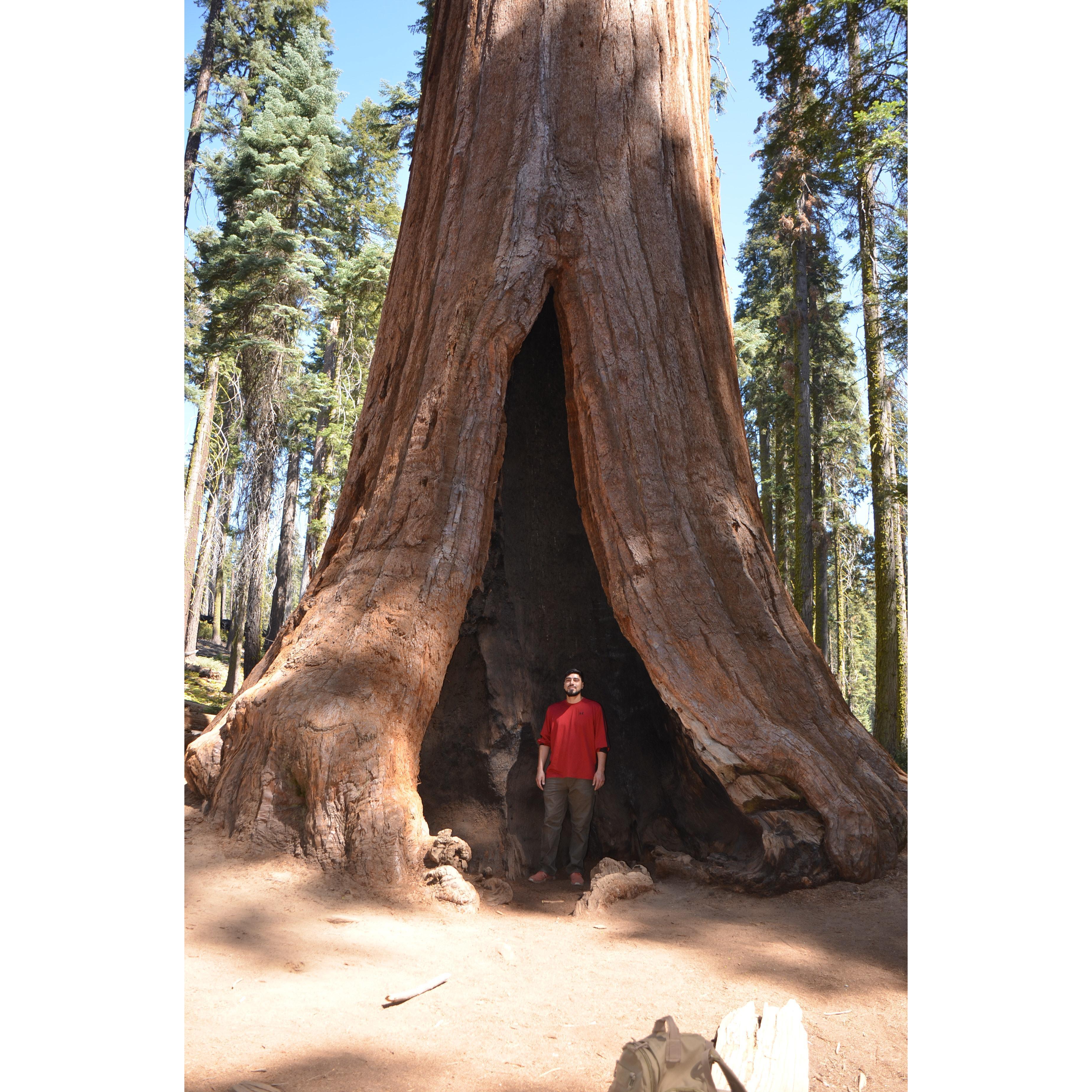 Marcos in Sequoia National park before he proposed!