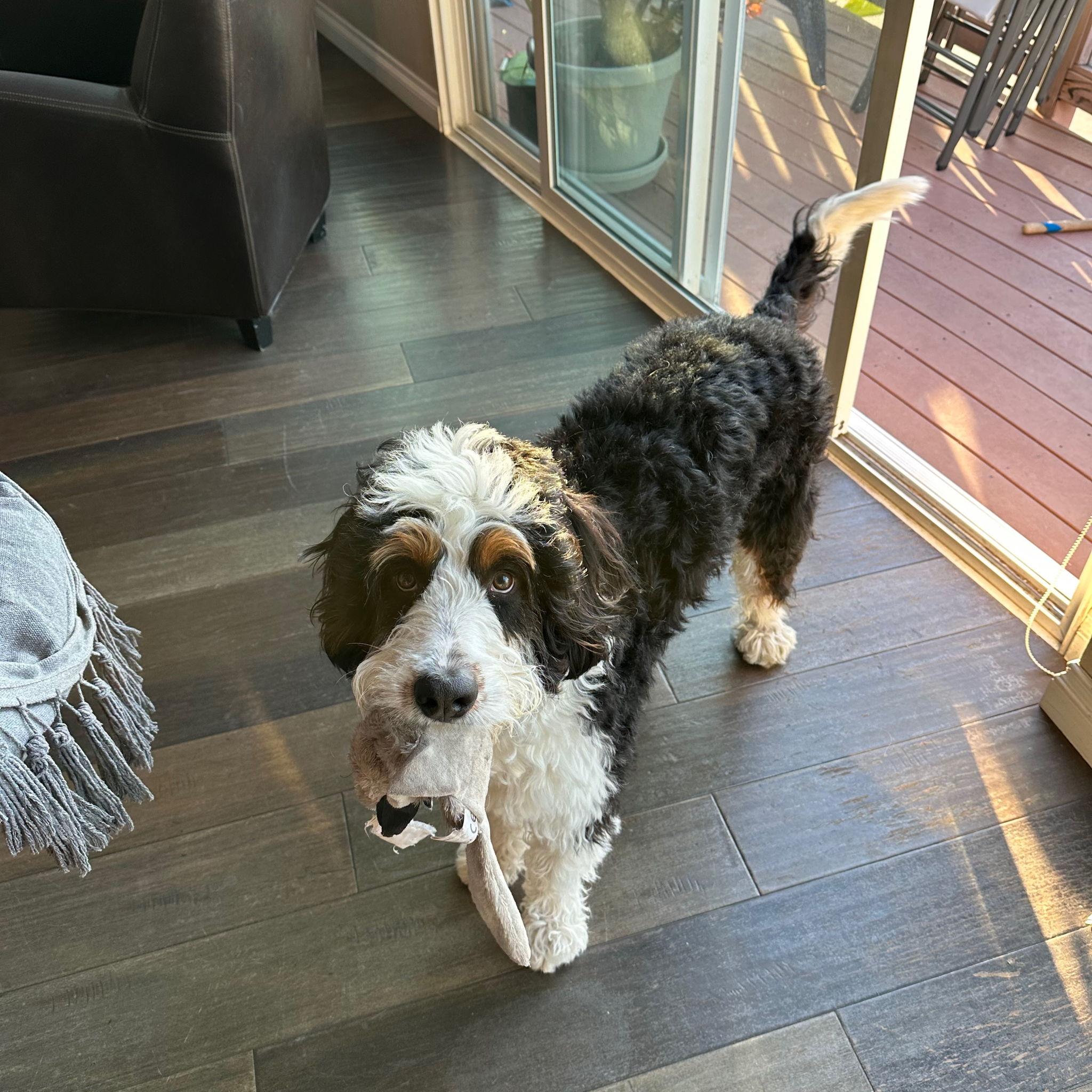 Chants just being cute