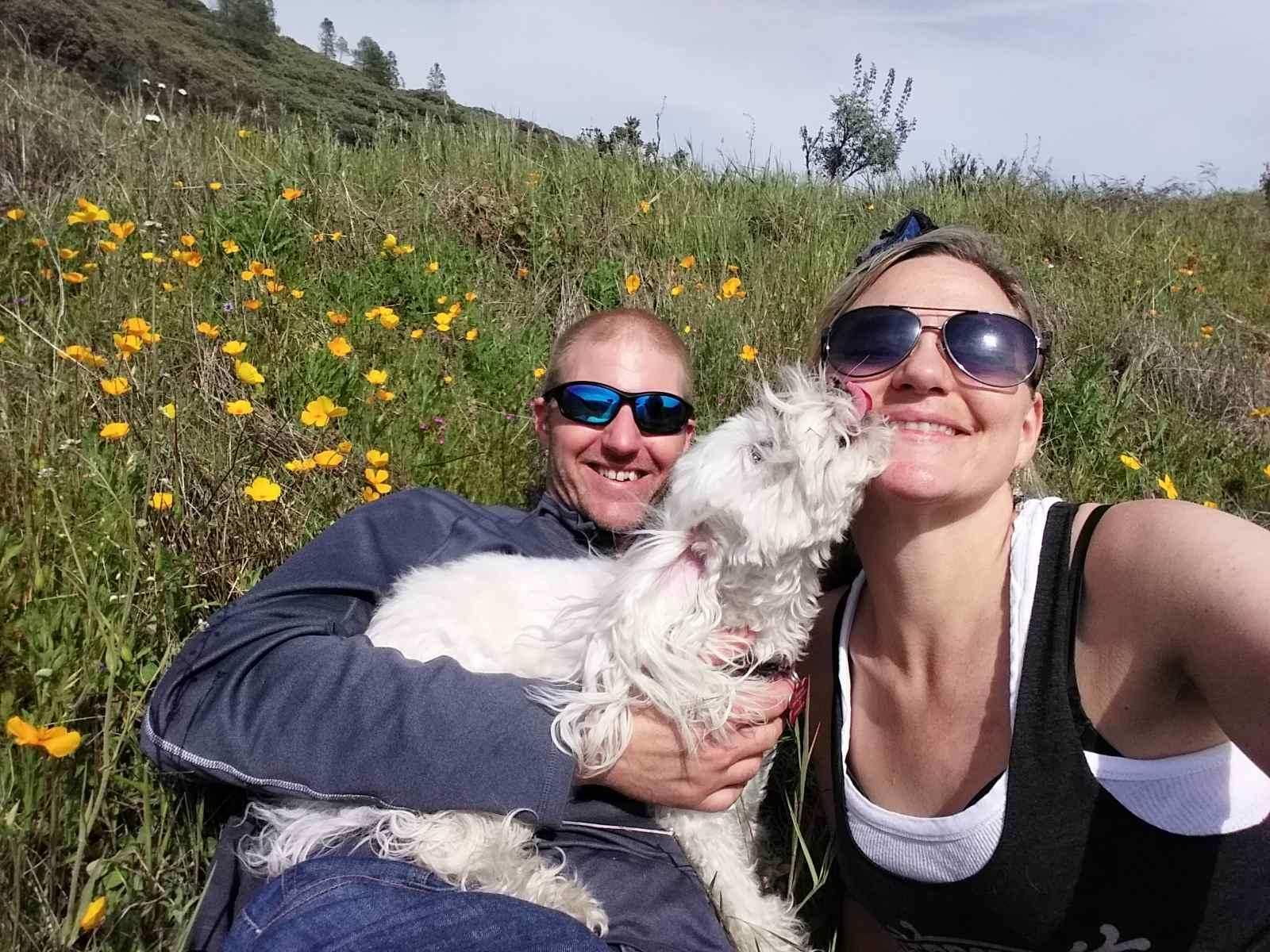 c0688264-2083-4967-bf46-792d6b69cbf9