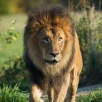 Columbus Zoo and Aquarium