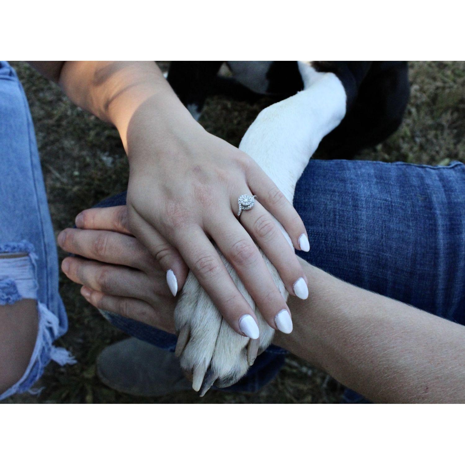 Our "pawfect" family