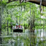 Cajun Encounters Tours