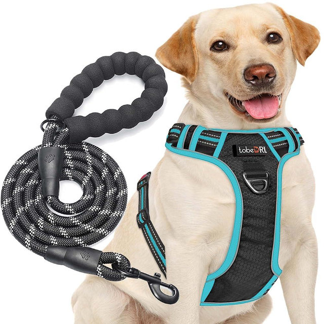 tobeDRI No Pull Dog Harness Adjustable Reflective Oxford Easy Control Medium Large Harness with A Free Heavy Duty 5ft Dog Leash