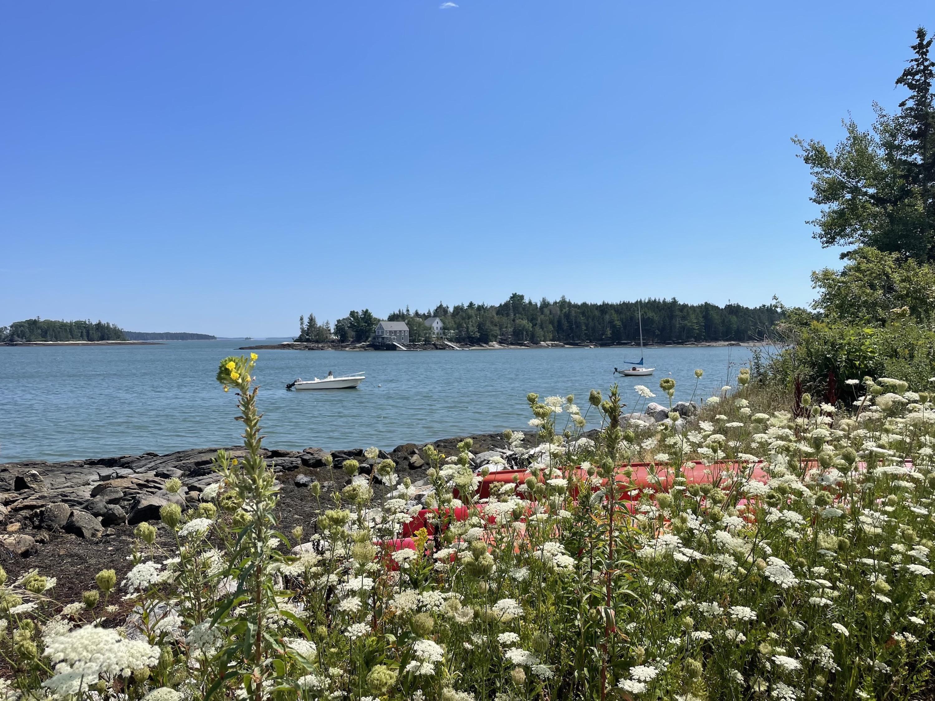 The Wedding Website of Katama Rose Murray and Nathaniel Ross Sharp