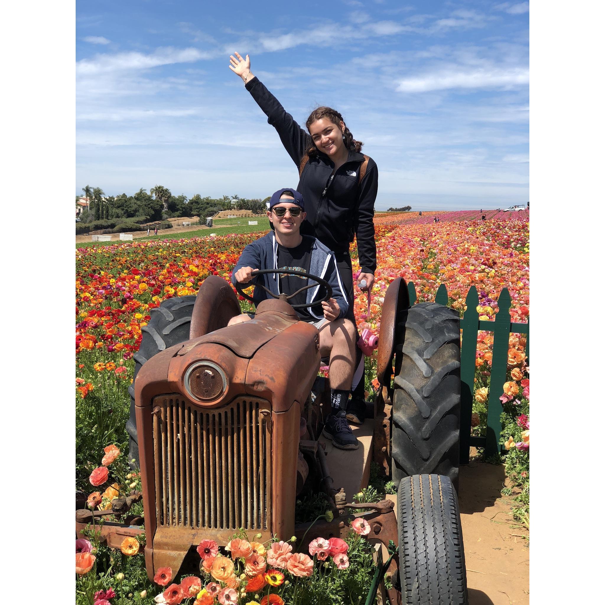 Flower field, a girl can never have too many flowers.