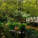 Sayen House and Gardens