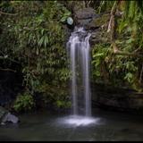 El Yunque National Forest