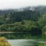 Sawyer Camp Trail South Trailhead