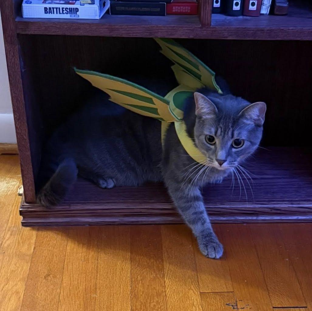 Leo dressed up as a dinosaur for Halloween.