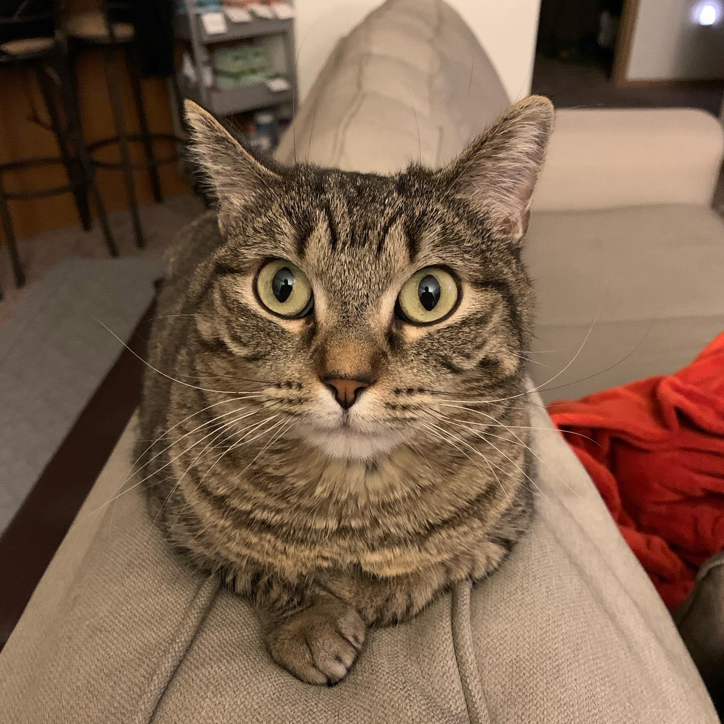 Ruth being cute.