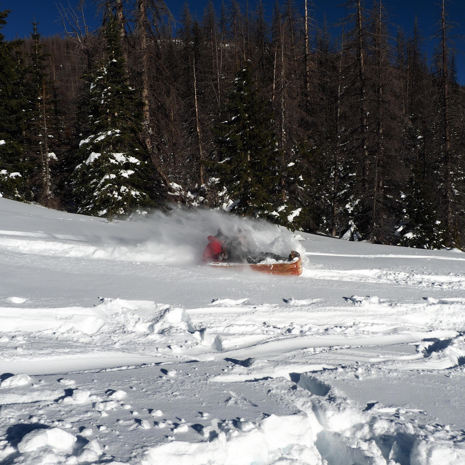 Our first winter in Pagosa