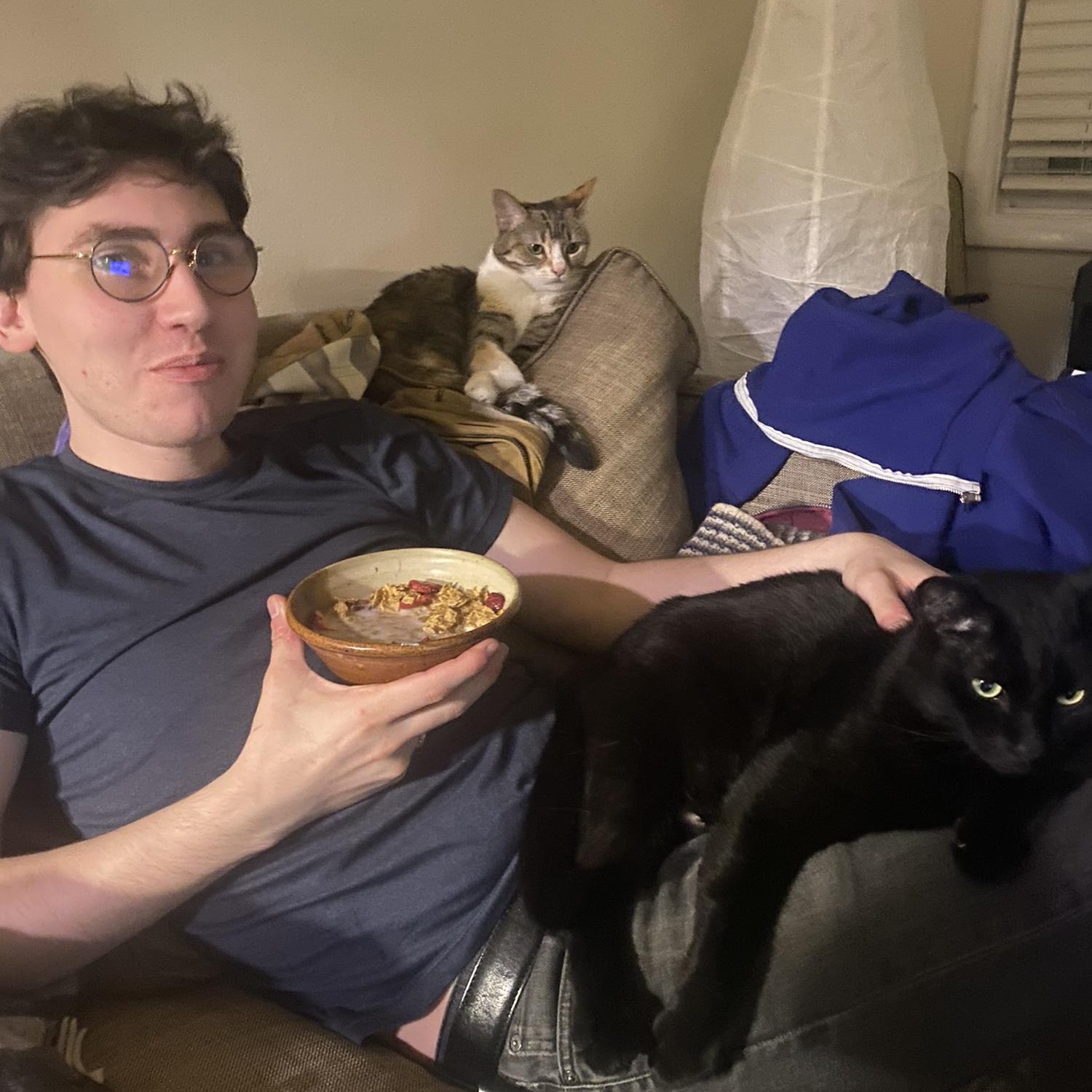Velcro cats