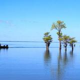 Santee