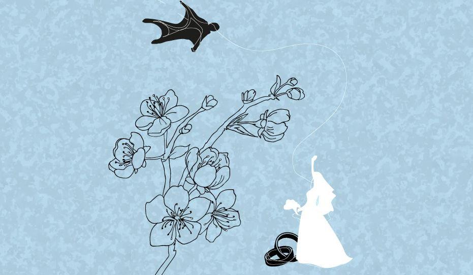 Footer image