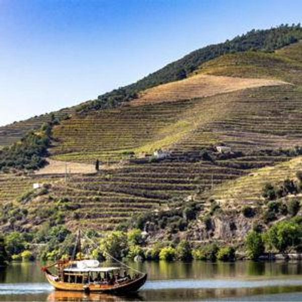 Douro Valley, Portugal River Cruise/ Winery Tour