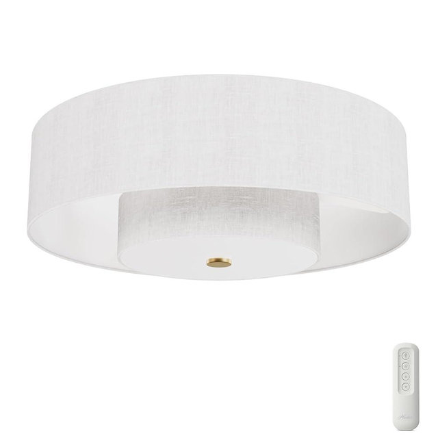 Hunter - Brookside Indoor Fandelier With Light, Remote, 30-inch, Casual-style, 3-speed WhisperWind Motor, 52974, Ceiling Fans for living rooms, bedrooms, home offices, kitchens (Luxe Gold)