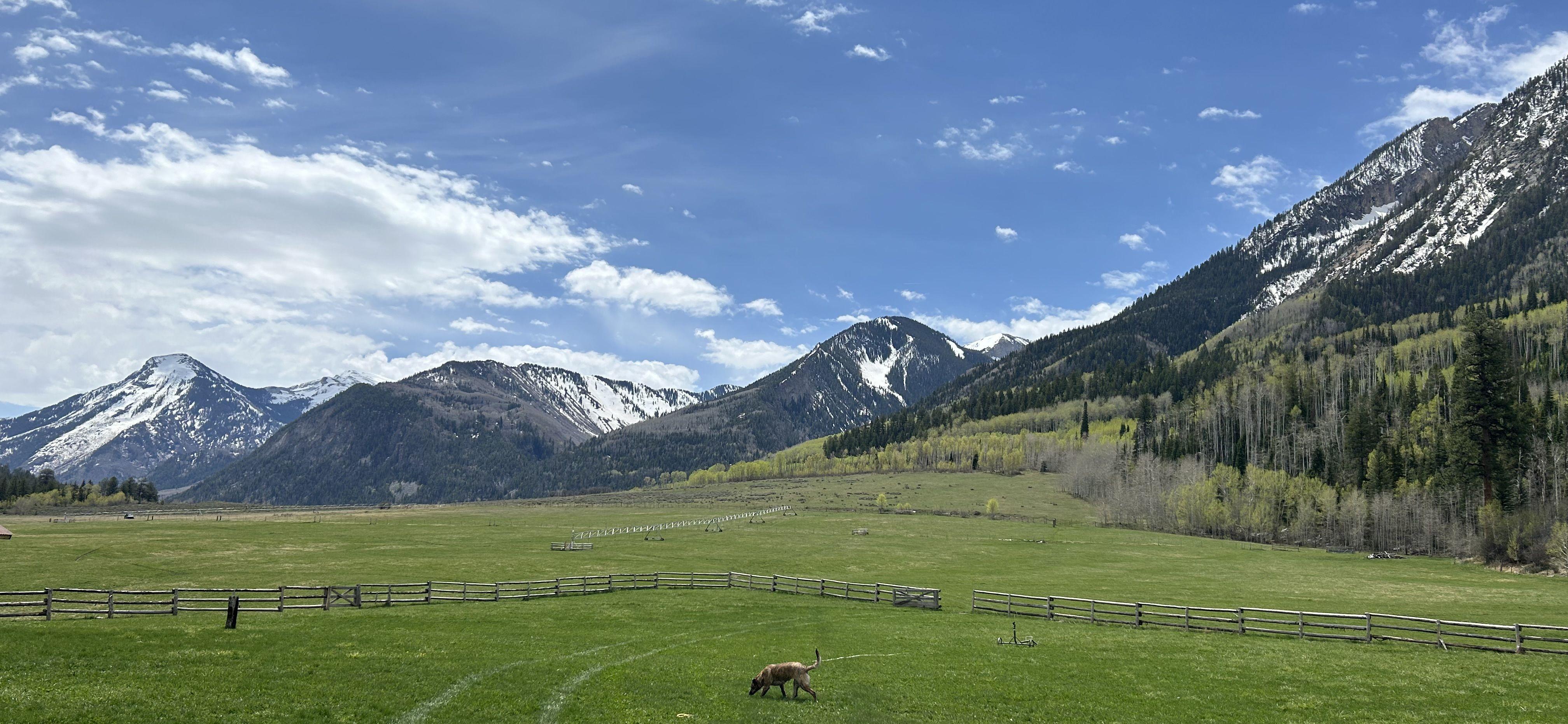 The Wedding Website of Ashley Woodworth and Alec Pease