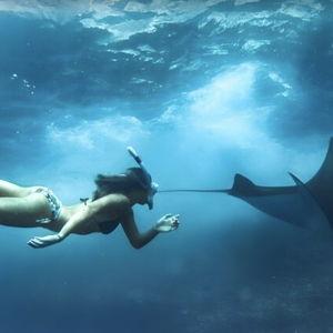 Honeymoon Fund