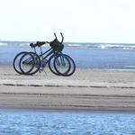 Rent a Bike