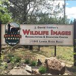 Wildlife Images Rehabilitation and Education Center