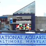 Baltimore Aquarium