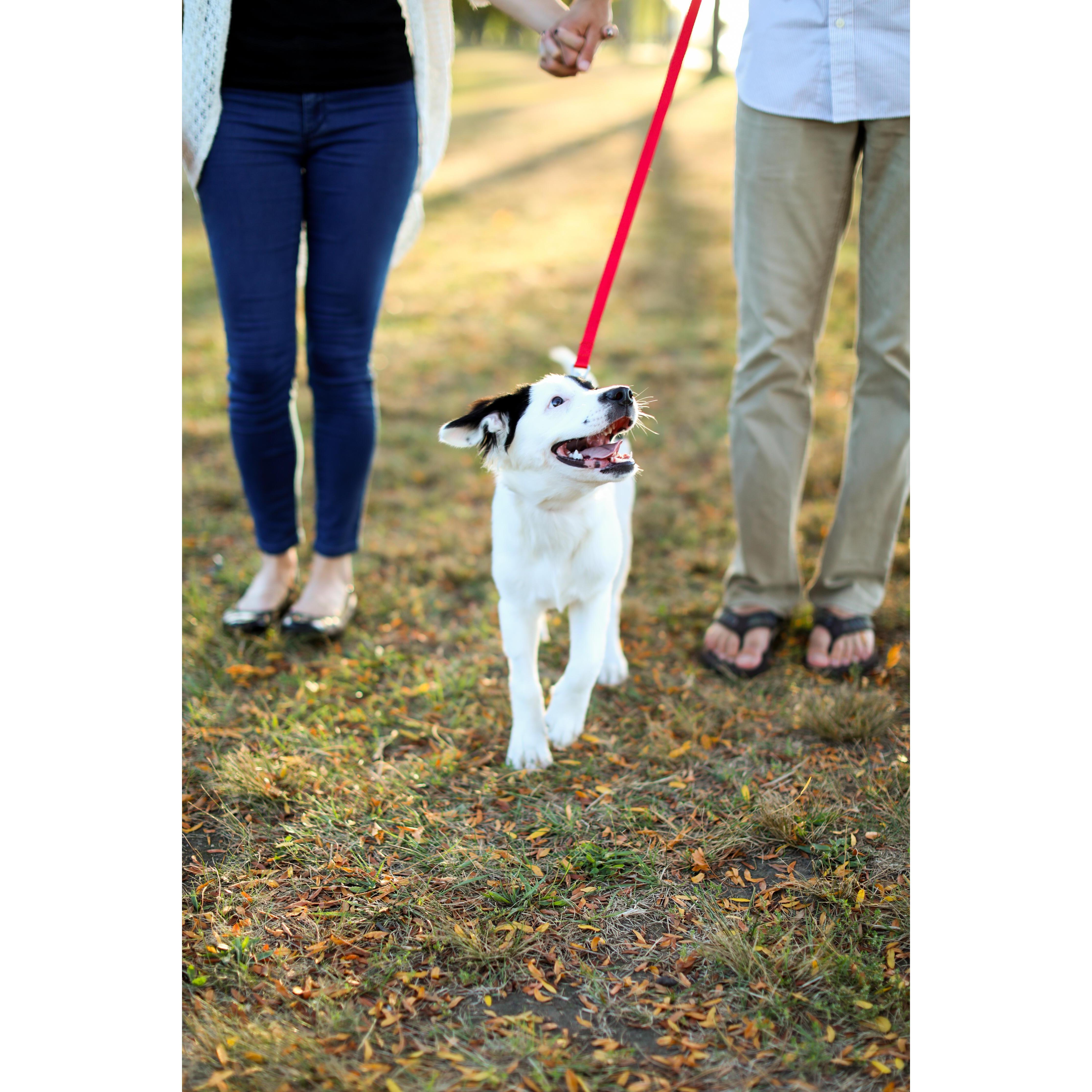Bradley at 4 months old, engagement photo session, 2017