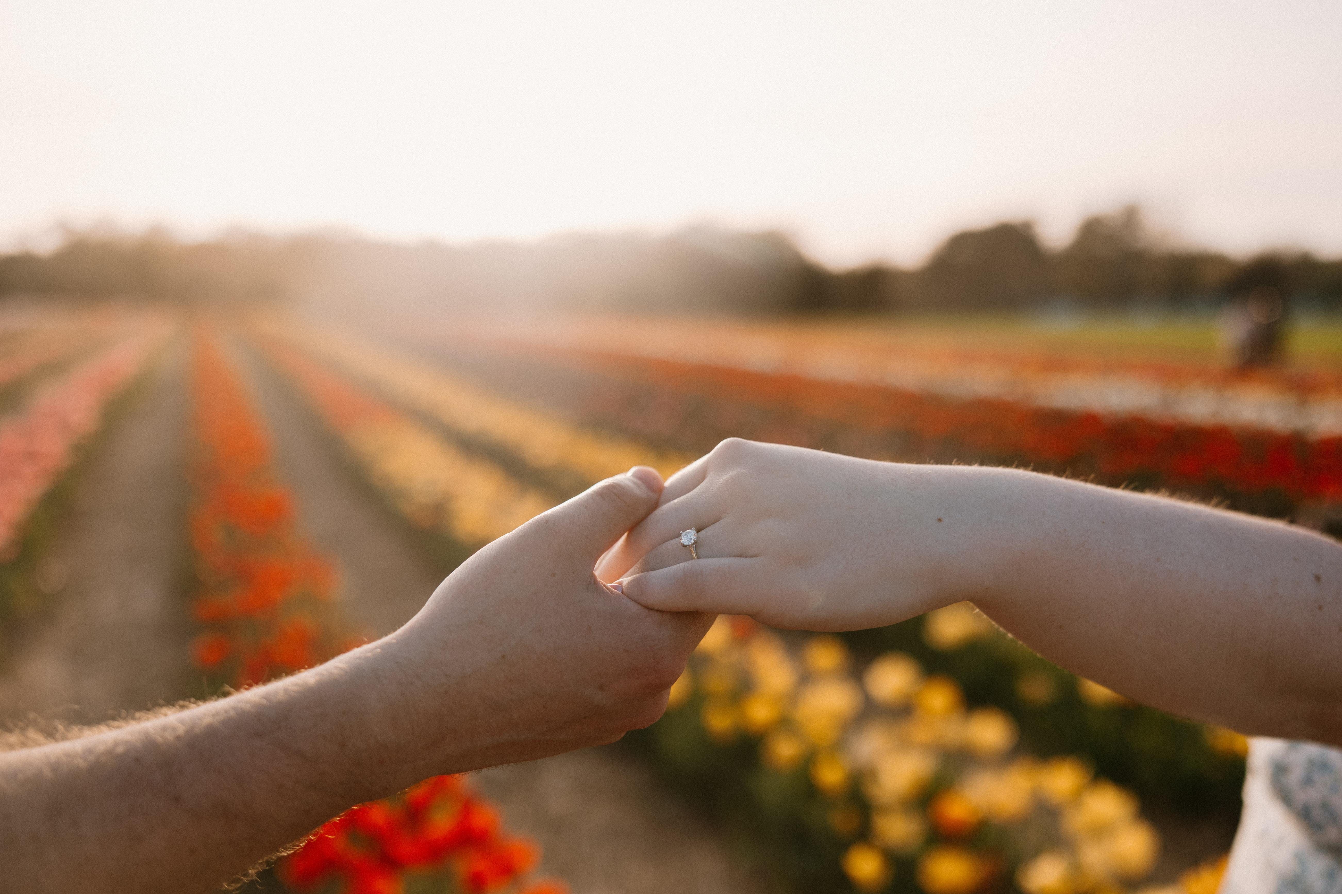 The Wedding Website of Allie Sunderman and Alec Ring