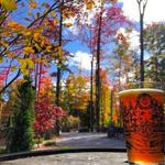 Hop Lot Brewing Co. & Beer Garden