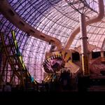 Circus Circus Hotel and Casino