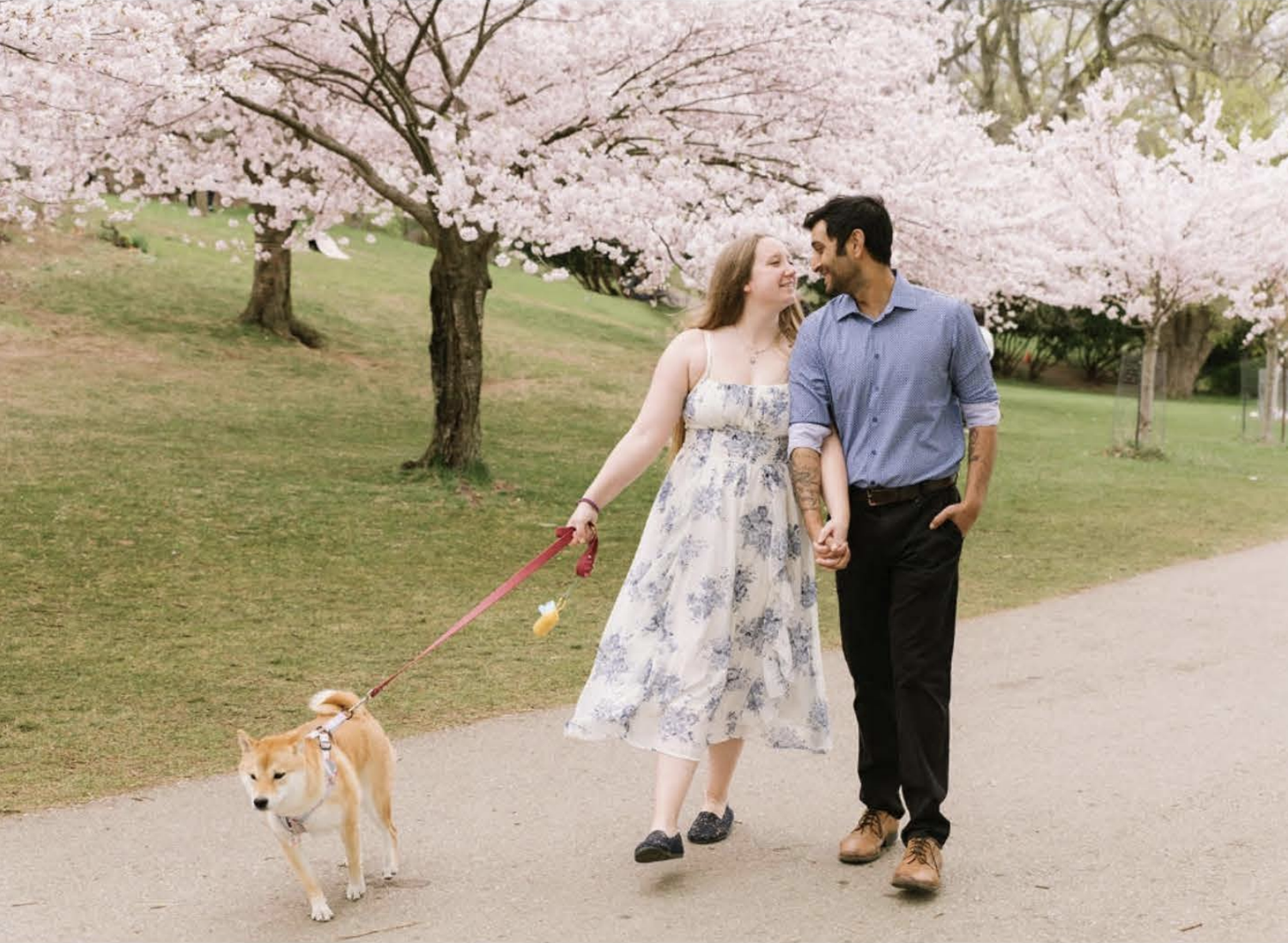 The Wedding Website of Sean Menezes and Ashley Gratto