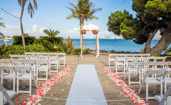 The Wedding Website of Parissa Youssefi and Vince Baiera