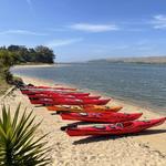 Blue Waters Kayaking