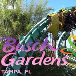 Busch Gardens Tampa Bay