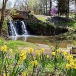 Reynolda Gardens - Walking trails, shopping, and dining