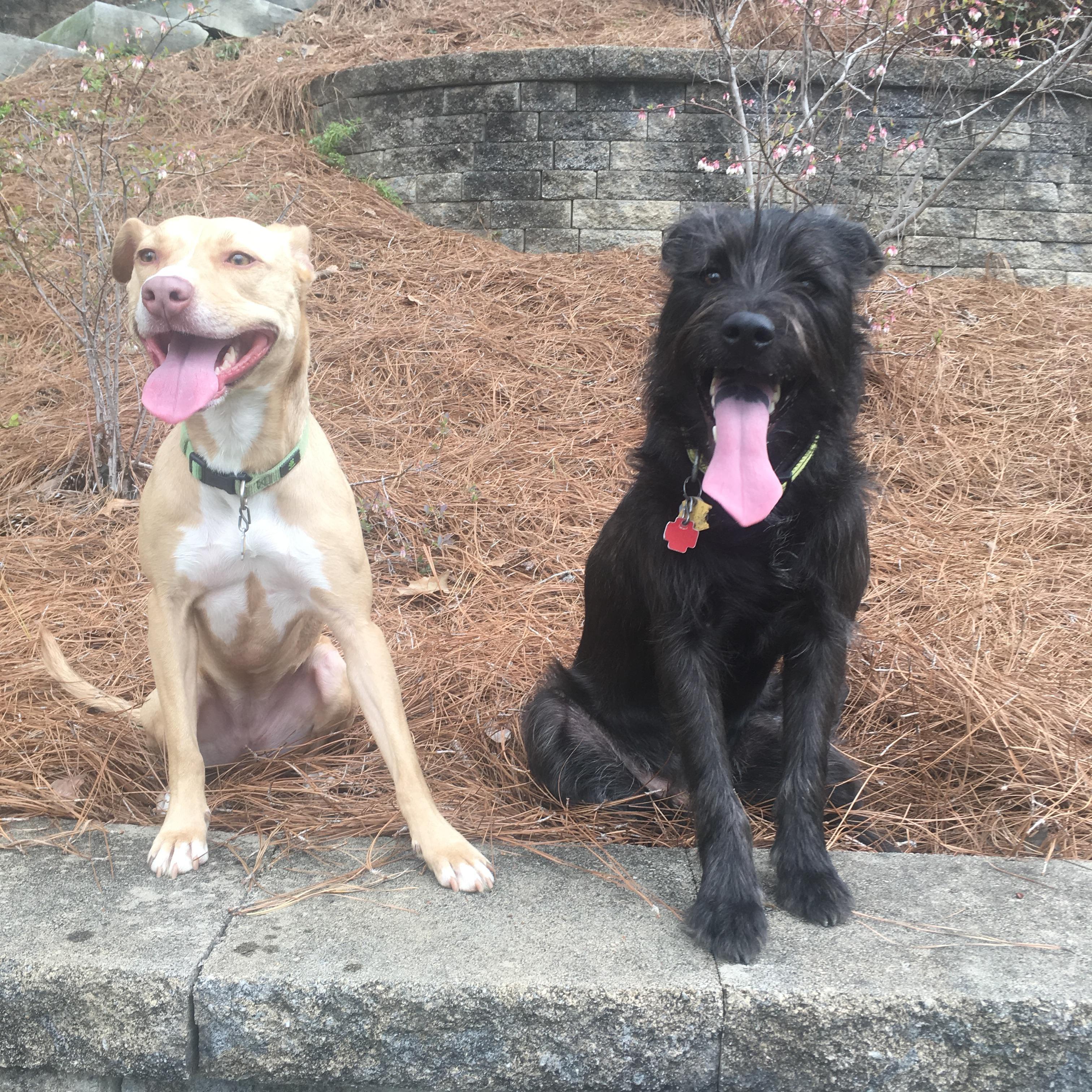 Shae and Gus!