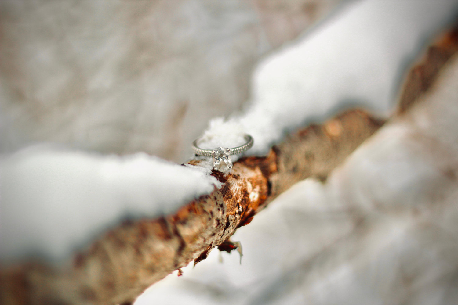 The Wedding Website of Mariel Farina and Joaquin Diaz