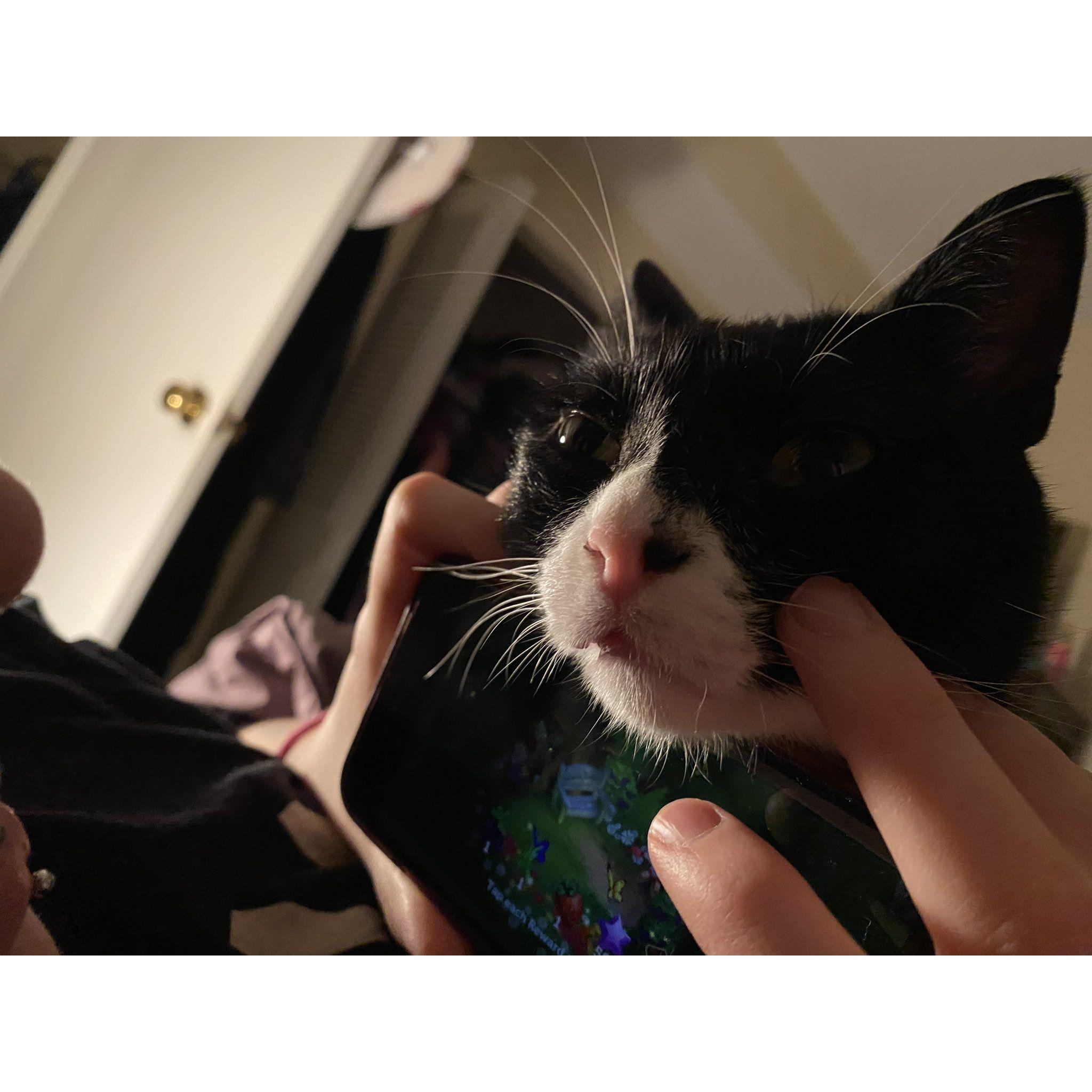 Andy hates video games. He doesn't like when either of his mummas is playing a game, here is a picture of him trying to get Mumma's attention.