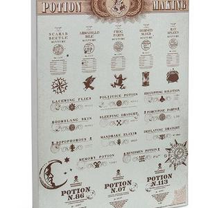Harry Potter Potion Making Metallic Canvas - Exclusive