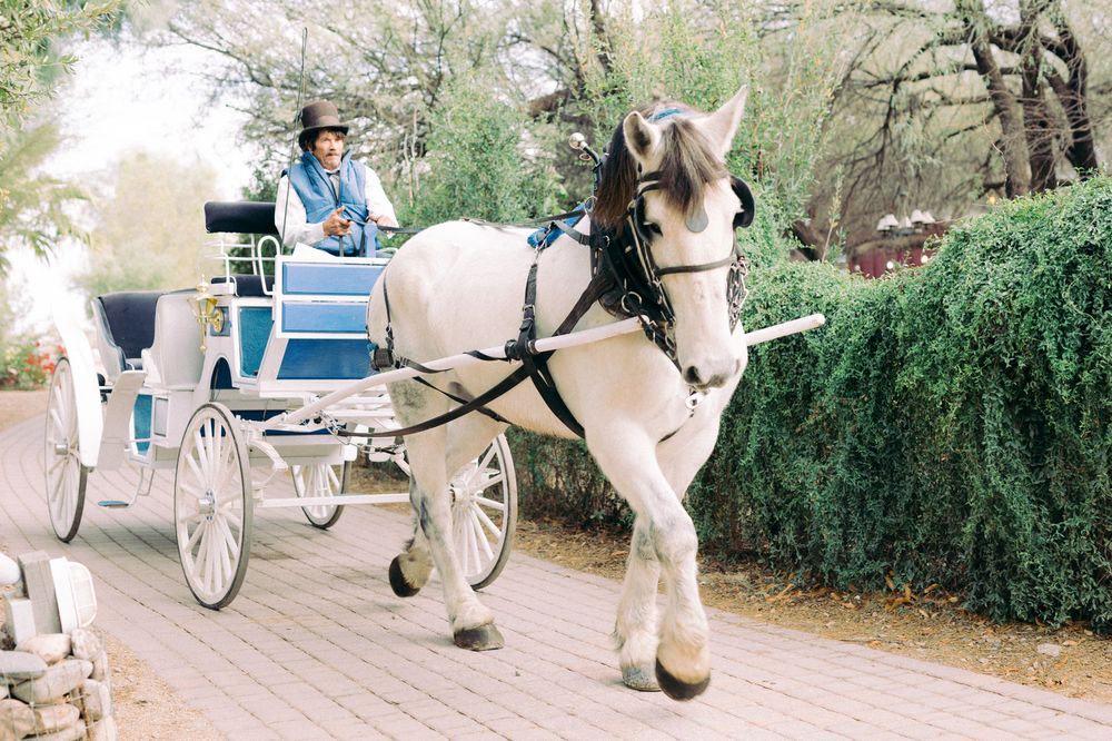 The Wedding Website of Jessica Herst and Donovan Stebbins