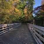 Norwottuck Rail Trail Bridge