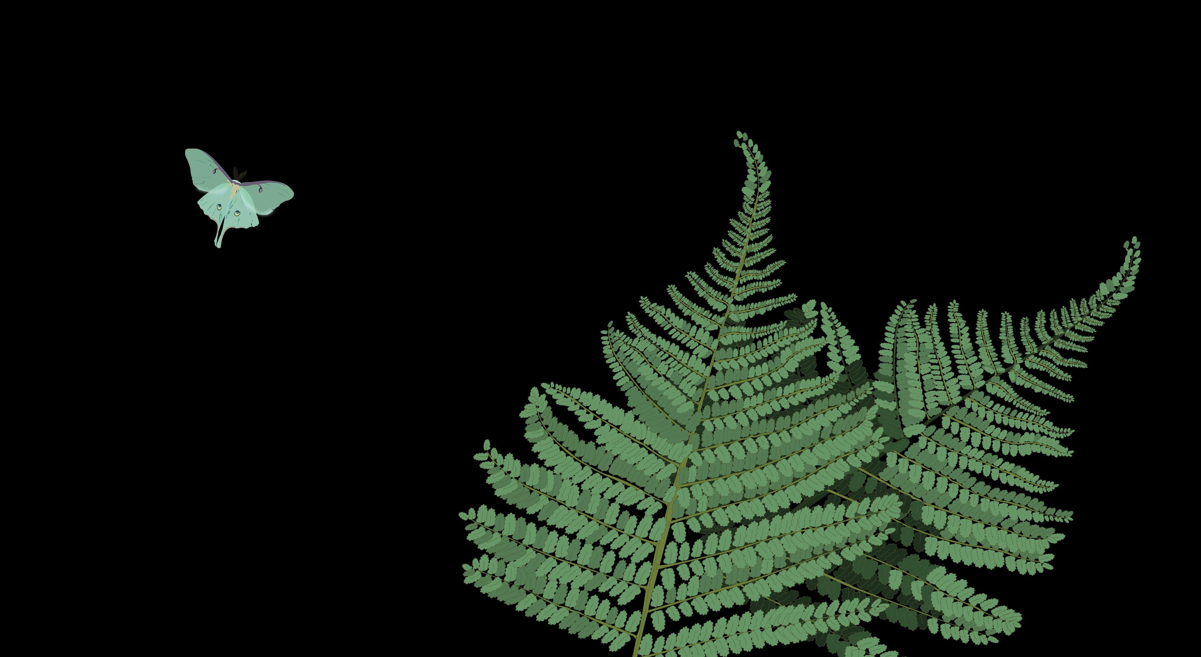 Footer image