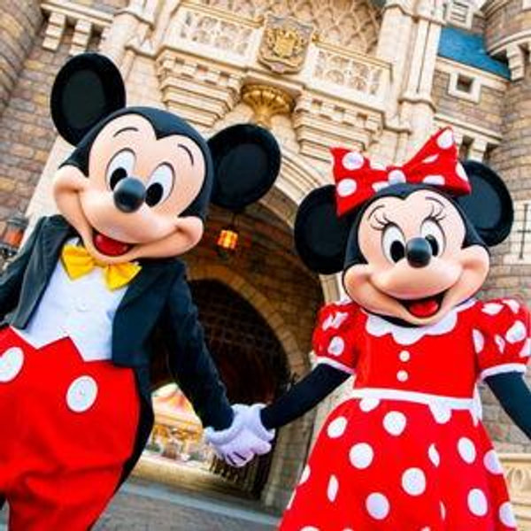 Honeymoon Fund: Tokyo Disney