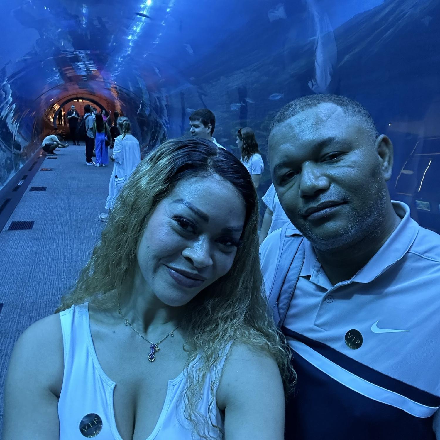 The largest aquarium in the world 
Dubai